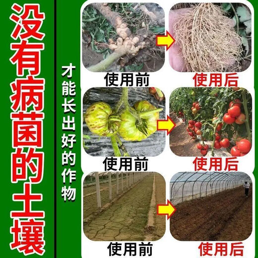 Soil-borne disease bactericide, agricultural soil fungicide, anti-repeat root rot, dead seedlings and root rot, 3 packs 500g*3