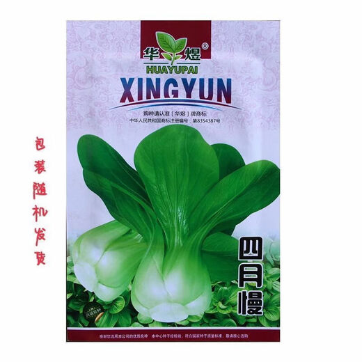 Shanghai green seeds for four seasons, small green vegetables, chicken feathers, fast vegetables, small cabbage, rape, heat, moisture and cold resistance, field use, original authentic April slow seeds, about 1200 capsules, 1 pack