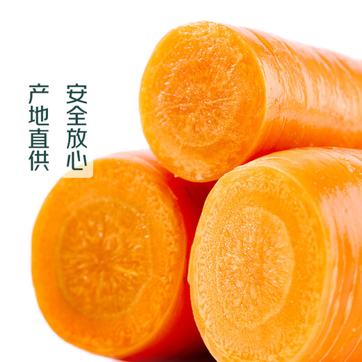 Frosted Vegetables Shadi Crispy Sweet Carrots About 500g