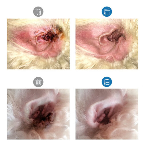 Daoliqi Pet Ear Drops 60ml Cat Ear Drops Oil Pet Cleansing Ear Mites and Ear Odor Ear Cleansing Liquid Dog Eye Drops 60ml (for eyes only) 60ml (1 tube)