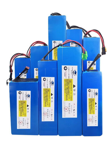 电动滑板车36V10.4A锂电池24V48V希洛普小海豚折叠代驾电动车通用 新国标动力A品 48V234AH 6167公里