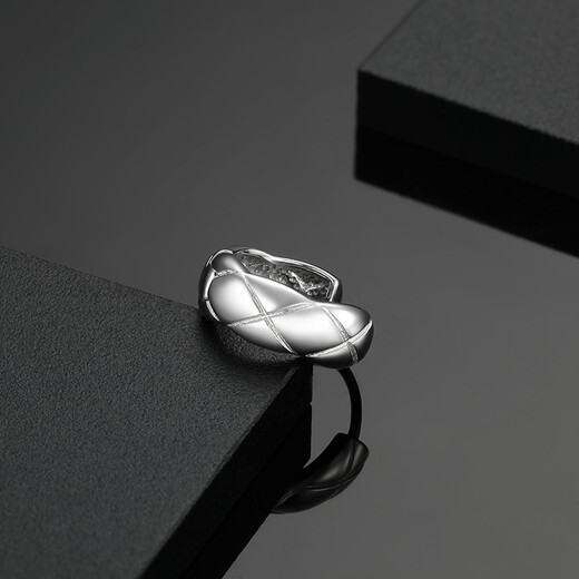 Chao Acer platinum earrings for women, earrings for girlfriend's birthday, single style, priced at 100 yuan, about 1.55g (single style)