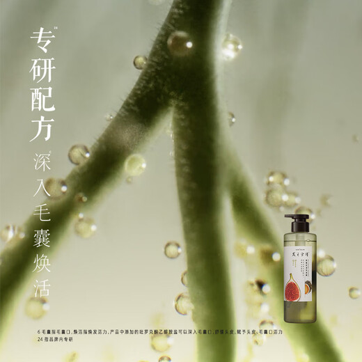 髮の食谱发之食谱无花果去屑洗发水控油洗发护发蓬松套装530ml+530g+50g*2