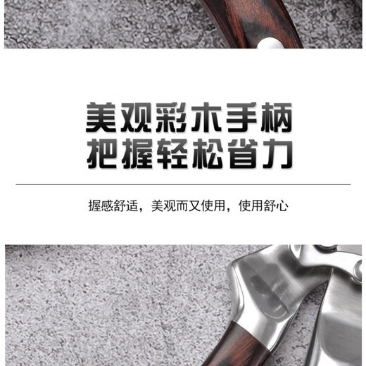 Zwilling (Henckel) Edelstahl-Haushalts-Küchenschere, leistungsstarke Knochenschere, multifunktionale Küchen-Mehrzweck-Lebensmittelschere, Fischtötungswerkzeug, B-Typ-Küchenschere