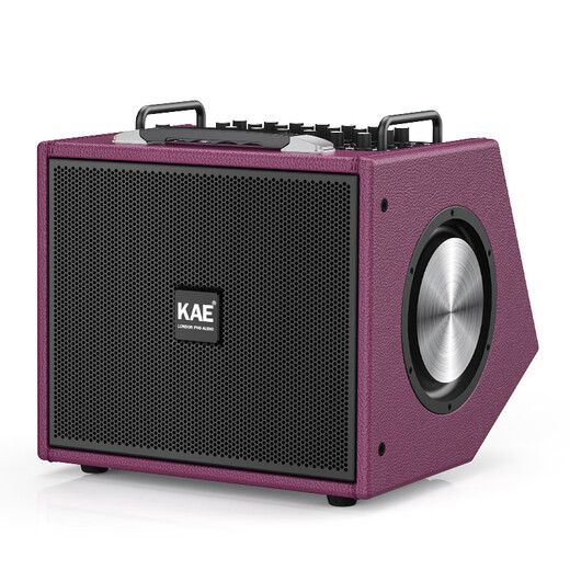 KAE-M8 outdoor karaoke live broadcast roadshow musical instrument audio electric blowpipe guitar saxophone live singing live broadcast internal recording box M8 purple tiger head 330W high power + gift package