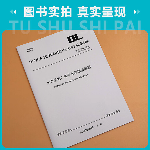 [Print on demand] DL/T 794-2024 Chemical cleaning guidelines for boilers in thermal power plants (replace DL/T 794-2012)