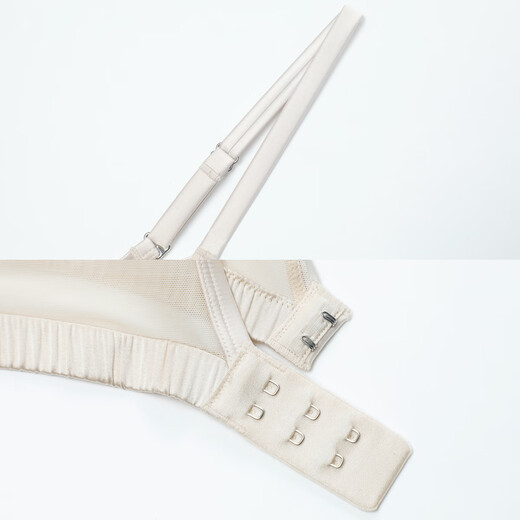 Embry's counter new product mesh splicing mulberry silk triangle cup underwear women's French thin bra EB00991 silk original color SBG XL