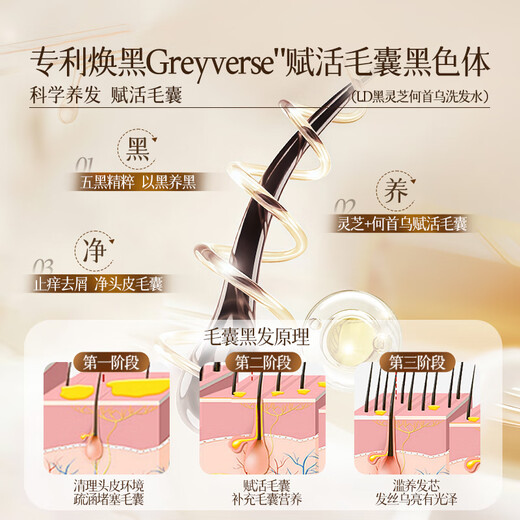 LD何首乌洗发水白头转黑治根正品黑灵芝洗发水金榜第1五黑植萃男女