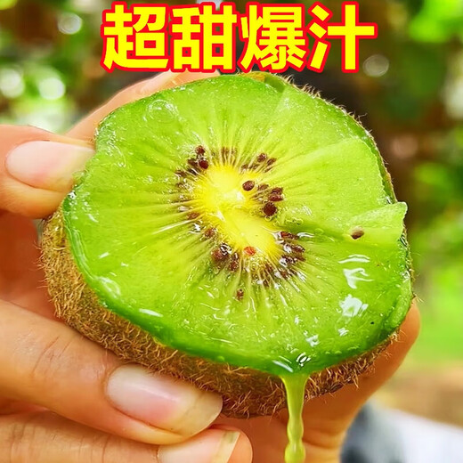 Shaanxi Meixian Xuxiang kiwi fruit 2025 new fruit picked now, sweet and juicy, bad fruit guaranteed to be compensated by JD.com Sweet and juicy 8 pieces (single fruit 60-70g)