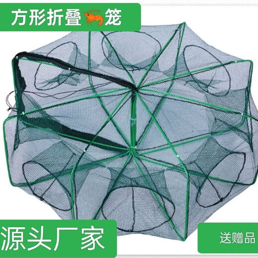 Tianlong pattern shrimp cage fishing net automatic fishing net fishing cage folding fish catching lobster loach eel cage fishing artifact square fish and shrimp cage 10 holes + 10 bags of bait + rope