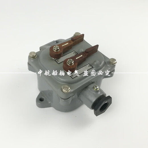 
250V marine IP56 single handle switch AB1 double handle switch AB2 ABD2 handle type CB/T756-1999 single handle switch ab1/single contact