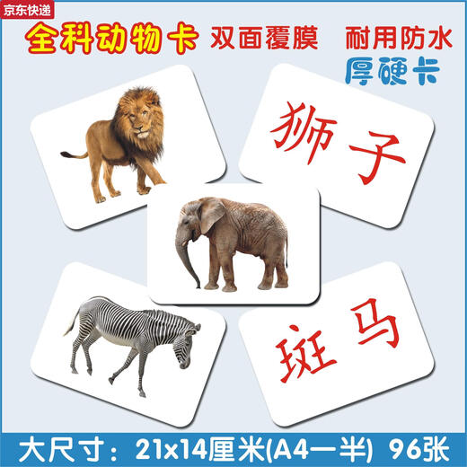 奇立彩宝宝早教玩具教具杜曼百科动物闪卡右全脑课潜能开发认知卡片 48张动物卡