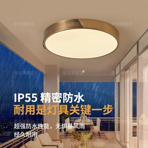 别墅入户大门灯防蚊虫防水过道灯进户门厅室外阳台照明户外吸顶灯 X3890-大号51CM/三色可调