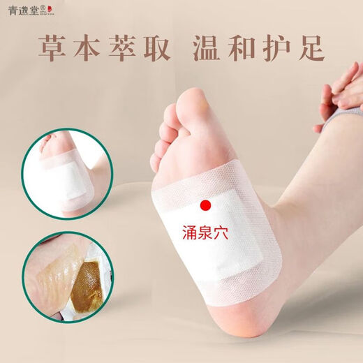 Evodia and Cinnamon Foot Patch Herbal Evodia and Cinnamon Dried Ginger and Tangerine Peel Breathable Internal Adjustment Foot Patch Soothing Care Evodia and Cinnamon Foot Patch 1 small box 7 packs of 14 patches