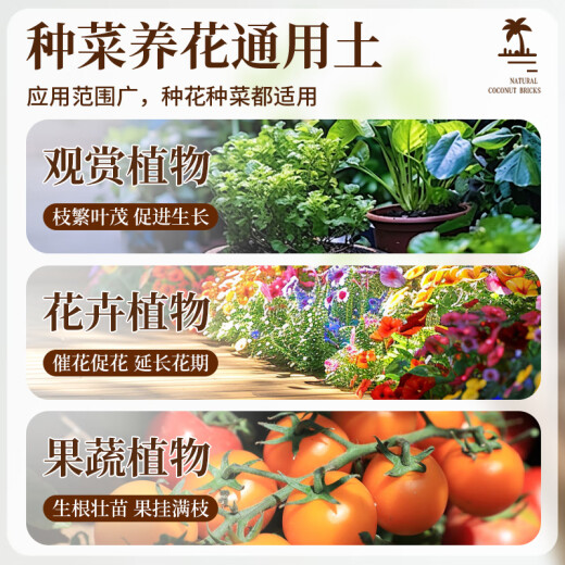 根力豆通用型椰糠砖椰壳砖椰砖营养土通用型养土养花土壤种植土脱盐批发 脱盐椰糠砖【675G五块】