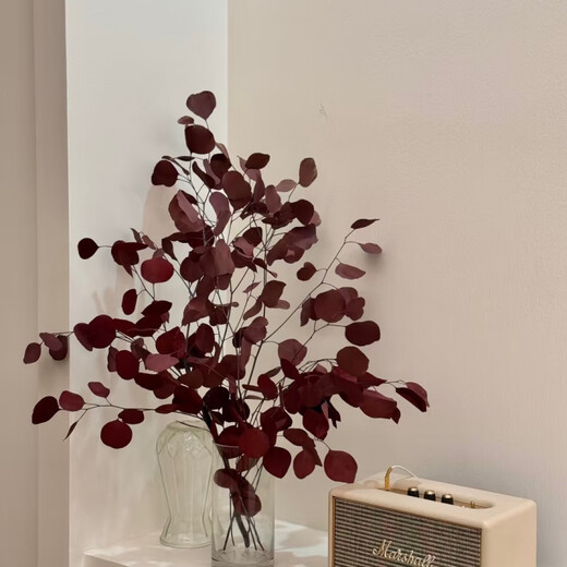 Apple eucalyptus dried flowers indoor living room office immortal flower base straight hair niche immortal apple eucalyptus leaves 100-130cm1 tied purple red