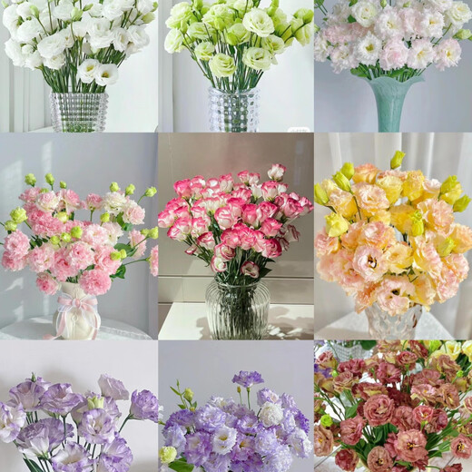 Kunming Lisianthus flower base direct hair indoor living room flower arrangement water for home bouquet gifts Yunnan direct batch random color Lisianthus + free grass 1 to 3 flowers with buds (no grass and preservative