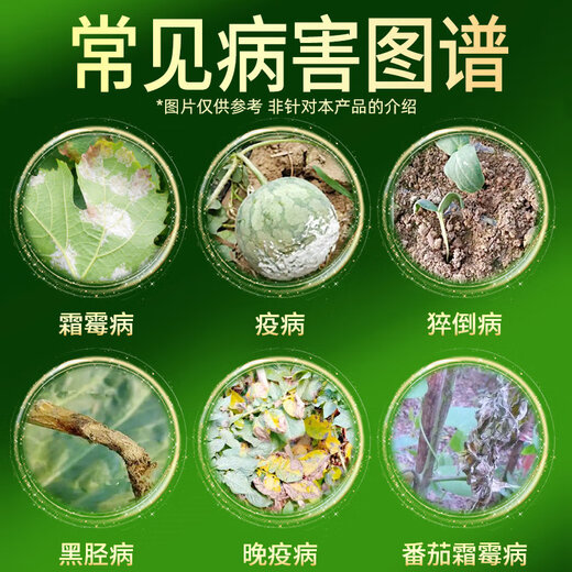 Hulian Plant Protection 687.5g/L fluopyracil downy mildew fruit tree vegetable epidemic downy mildew silver law ingredient pesticide fungicide