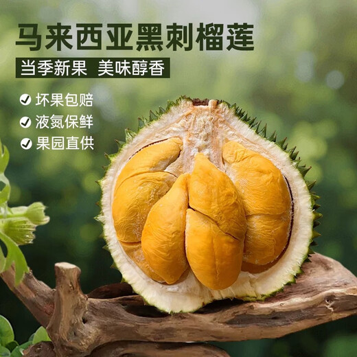 东来甄选马来西亚D200黑刺榴莲自然树熟液氮锁鲜礼盒装送人送长辈顺丰冷链 甄选【保5房】当季新果5.1-5.5斤