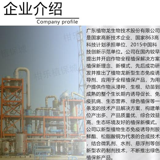 Golden Phytolonium fresh ester expands, colors, increases yield, resists cold and stress, preserves flowers and fruits, and dyes amine fresh fat pesticide growth regulator 10L