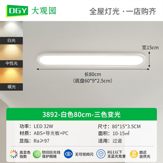 Grand View Garden Aisle Light Corridor Light LED Plafait Light Modern Modern Simple Nordic Long Living Room Light Study Balcon Lamp 263 3892-White 80cm-Three Couleurs 32W-Full Spectre