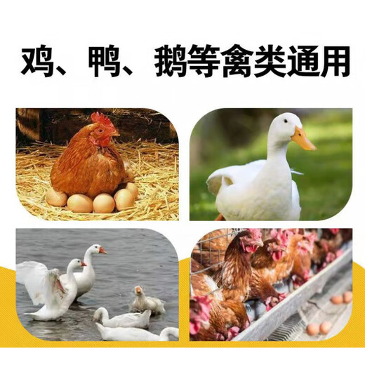 OIMG corn crumbs feed chickens, ducks and geese feed corn flour wrapped grain chicken food laying hens feed corn flour cereals 5Jin Jin is equal to 0.5 kg corn cereals full price feed more complete nutrition