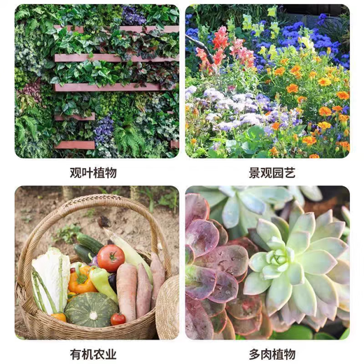 Smart Green Compound Fertilizer Universal Nitrogen Phosphorus Potassium Fertilizer Flower Vegetable Fruit Tree Agricultural Fertilizer Granular Fertilizer Medium Element Water-Soluble Fertilizer Universal Granular Fertilizer 5Jin Jin is equal to 0.5kg *1 barrel