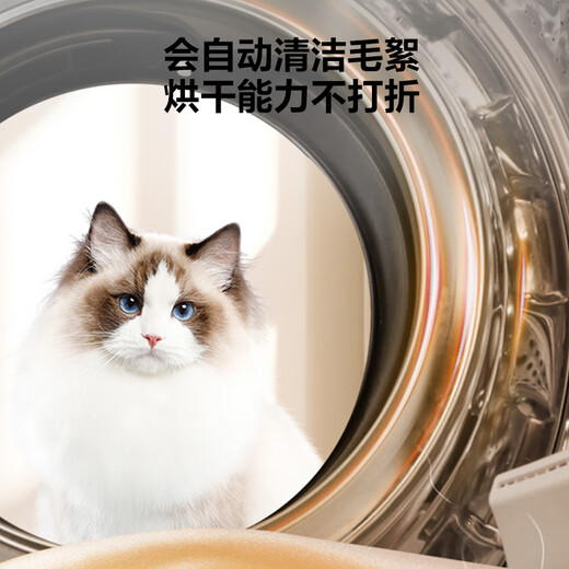 Haier Beyond Fully Automatic Drum Washing and Drying Integrated Washing Machine with Dryer 12KG Home Appliances National Subsidy Trade-in OCC XQG120-HLDE659H