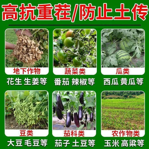 Soil-borne disease bactericide, agricultural soil fungicide, anti-repeat root rot, dead seedlings and root rot, 3 packs 500g*3