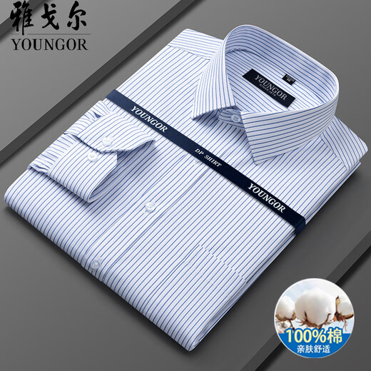 汉麻世家（HANP）雅戈尓雅戈尔男士棉长袖衬衫2025夏新款商务休闲职业正装免烫上衣 6636【星星蓝白】 XL 40 【建议135145斤】