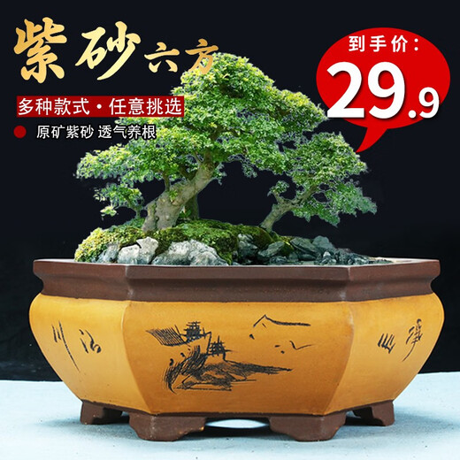 
Six-party engraved purple clay flower pot breathable green plants flowers and ceramic potted large diameter hexagonal bonsai pot 693 small red