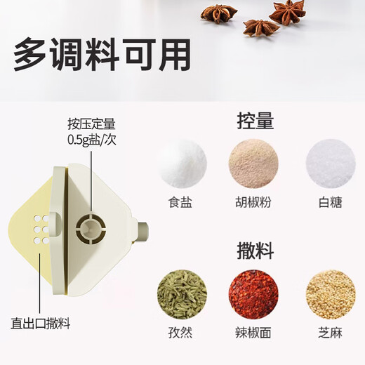 Double gun quantitative salt jar seasoning box seasoning jar seasoning box controlled salt jar salt bottle universal seasoning bottle green model 200ml