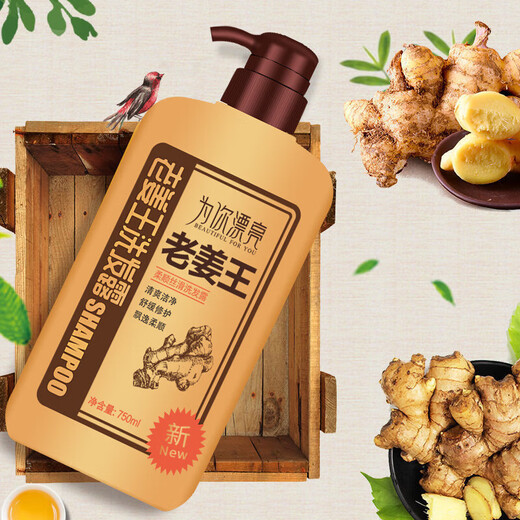老姜王洗发水姜汁养护蓬松滋养祛屑柔顺丝滑生姜洗发露750ML 老姜王洗发水*1瓶
