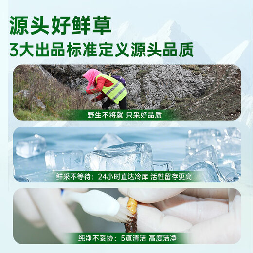 源江草【西藏那曲】2025年正宗野生新鲜冬虫夏草高端滋补礼盒送父母长辈 野生鲜草1.0-1.2克/根 50根