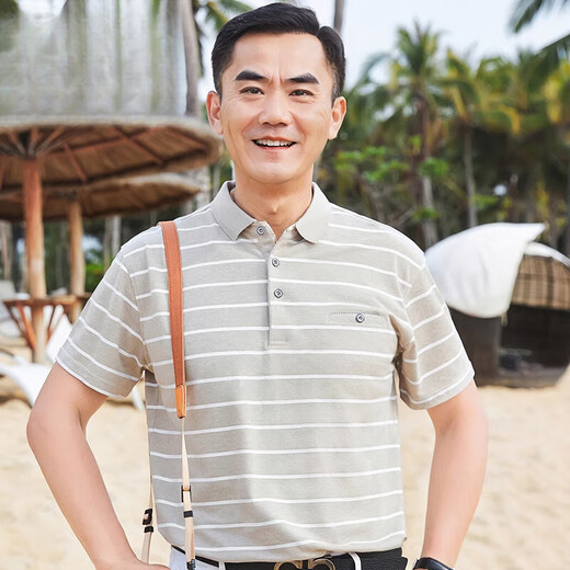 AEMAPE美国苹果中年爸爸夏装短袖t恤polo衫父亲节夏季薄款中老年人宽松 CJ9901浅蓝 M 165