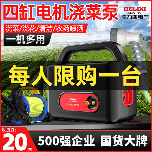 德力西电气（DELIXI ELECTRIC）充电式锂电池抽水泵浇菜浇水机菜地浇水神器家用灌溉电动抽水机 【四缸双电】旗舰款37米+水管车