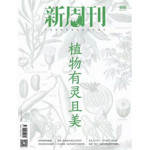 【新4本装】新周刊杂志2025年4/5/6/7期总第677/678/679/680期 都在酒里 新闻时事生活热点商业期刊 2022年3月上第5期总第606期_植物有灵且美