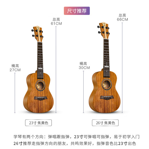 Encore (AKOULS) Ukulele entry-level Uklili 23-inch children's small guitar for girls, 23-inch blue + package + teaching