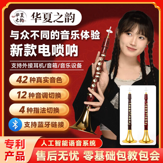 Bainuo Huaxia's rhyme electric suona instrument collection beginners and middle-aged and elderly people play CDGG BA play electronic blow tube red rosewood color