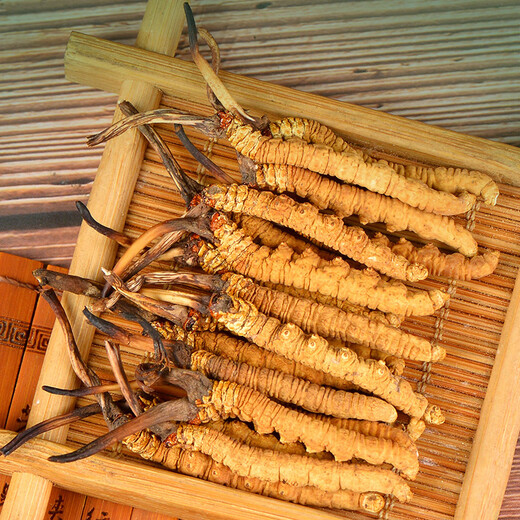 Zangyou genuine high-altitude Cordyceps sinensis gift box tonic cordyceps high-end gifts for parents and elders in the new year crystal tube thin branch 4 pieces/g-30 pieces gift recommendation