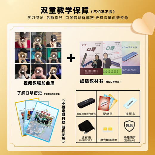 东方鼎半音阶口琴ET12 专业演奏初学练习通用款 拆卸便捷 12孔A调经典黑