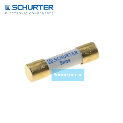 Swiss Shute frozen alloy heating fuse audio fuse 5X20Mm 16A