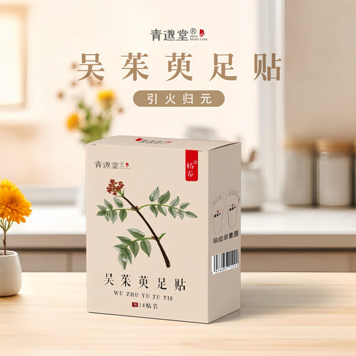 Evodia and Cinnamon Foot Patch Herbal Evodia and Cinnamon Dried Ginger and Tangerine Peel Breathable Internal Adjustment Foot Patch Soothing Care Evodia and Cinnamon Foot Patch 1 small box 7 packs of 14 patches