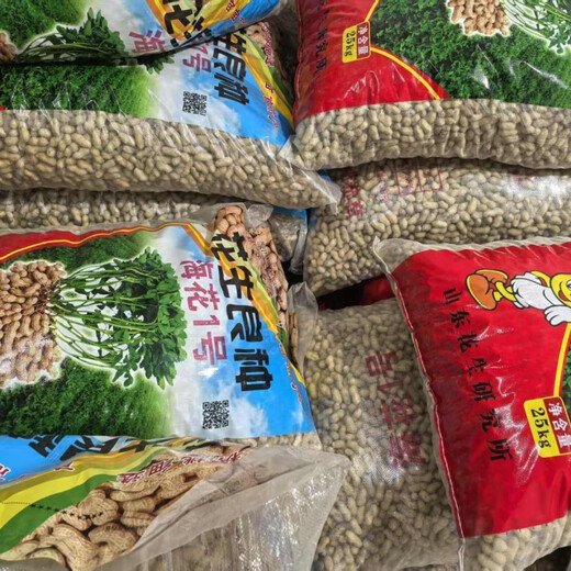 Peanut seeds Academy of Agricultural Sciences seed shelled original seed thin-skinned farmer sun-dried red-skinned raw peanuts Purity First generation Haihua No. 1 Net weight shipped 2Jin Jin equals 0.5 kg