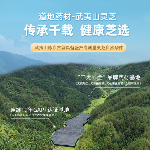 仙芝楼【国标制定】四大有机破壁灵芝孢子粉胶囊 增强免疫 营养品保健品 4盒 720g 【全年量】三萜12.5g