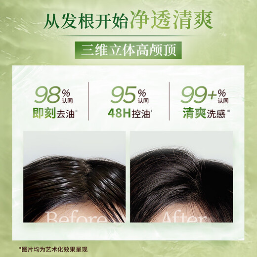 施华蔻（Schwarzkopf）生姜精华洗发露套装(洗发水600ml*2) 控油去屑净澈头皮无硅洗头膏