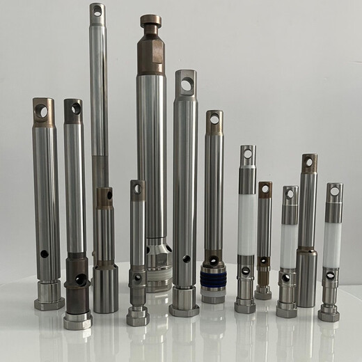 温以嘉固瑞克固涂宝喷普田立润涂机柱塞杆495.595.695 795.1095.970 595 695不锈钢杆总成