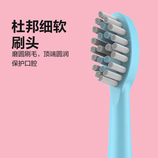 希尔顿电动牙刷静音成人声波牙刷清洁美白软毛防水家庭装老人学生男女家用款 【电镀情侣款E810】自带6个刷头