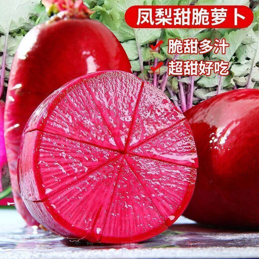 凤梨水果萝卜种子生吃紫美人萝卜胭脂萝卜籽夏季四季蔬菜种子大全 精品原装【1098粒】五包 水果型凤梨萝卜种子(今年新种)