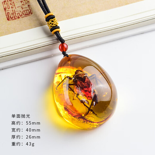 Qutao real live insect specimen amber pendant for men and women creative personality scorpion spider butterfly necklace bag trailer hanging jewelry 01# Spotted wax cicada